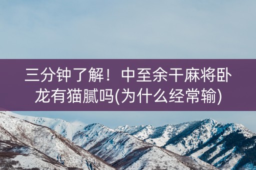 三分钟了解！中至余干麻将卧龙有猫腻吗(为什么经常输)