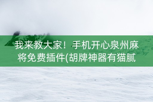 我来教大家！手机开心泉州麻将免费插件(胡牌神器有猫腻吗)