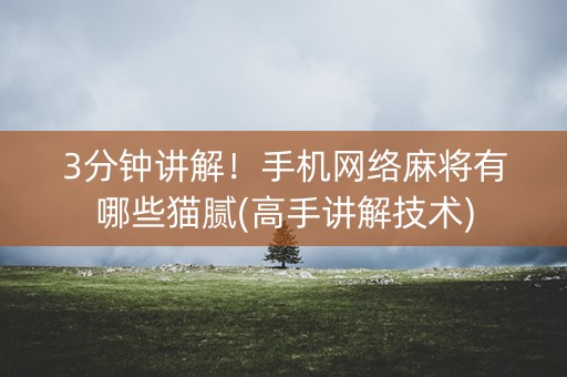 3分钟讲解！手机网络麻将有哪些猫腻(高手讲解技术)