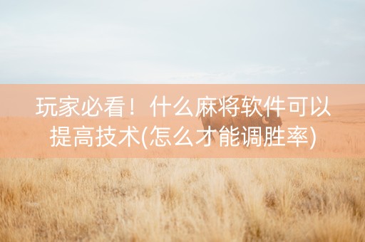 玩家必看！什么麻将软件可以提高技术(怎么才能调胜率)