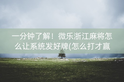 一分钟了解！微乐浙江麻将怎么让系统发好牌(怎么打才赢)