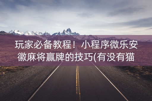 玩家必备教程！小程序微乐安徽麻将赢牌的技巧(有没有猫腻)