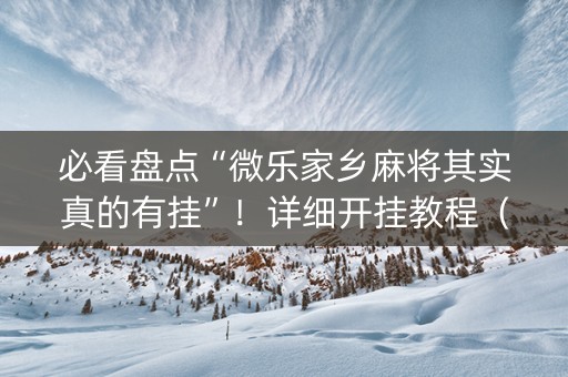 必看盘点“微乐家乡麻将其实真的有挂”！详细开挂教程（确实真的有挂)-抖音