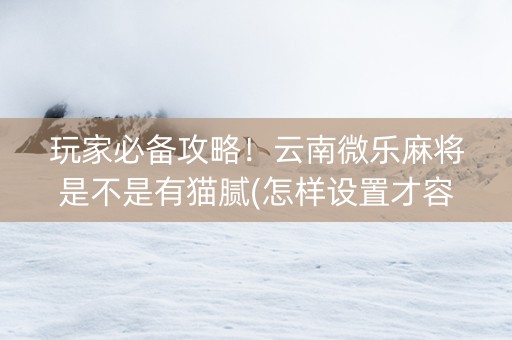 玩家必备攻略！云南微乐麻将是不是有猫腻(怎样设置才容易赢)