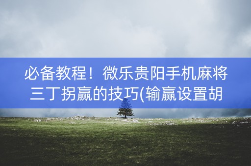 必备教程！微乐贵阳手机麻将三丁拐赢的技巧(输赢设置胡牌规律)
