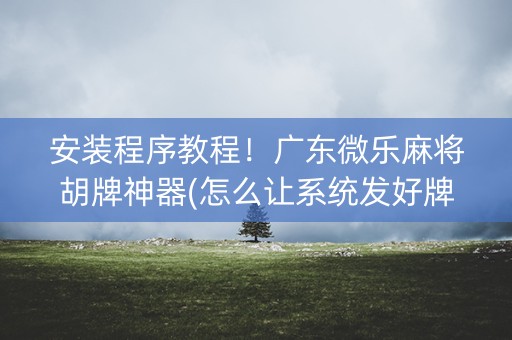 安装程序教程！广东微乐麻将胡牌神器(怎么让系统发好牌)