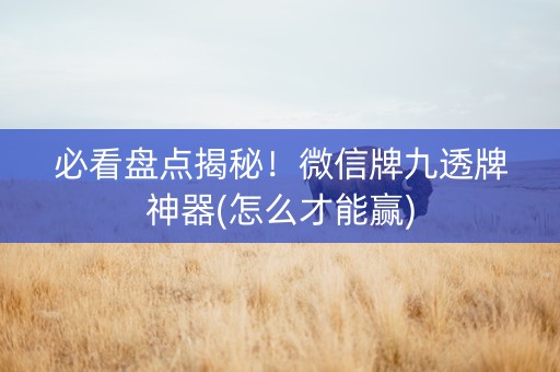 必看盘点揭秘！微信牌九透牌神器(怎么才能赢)