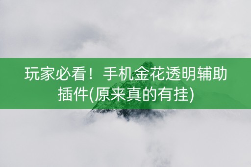 玩家必看！手机金花透明辅助插件(原来真的有挂)