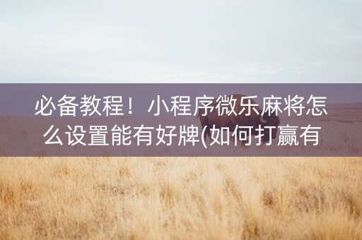 必备教程！小程序微乐麻将怎么设置能有好牌(如何打赢有插件吗)