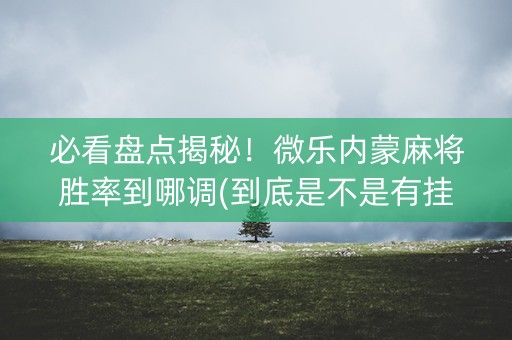 必看盘点揭秘！微乐内蒙麻将胜率到哪调(到底是不是有挂)