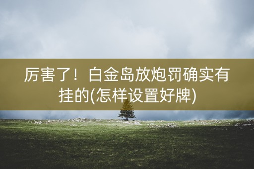 厉害了！白金岛放炮罚确实有挂的(怎样设置好牌)