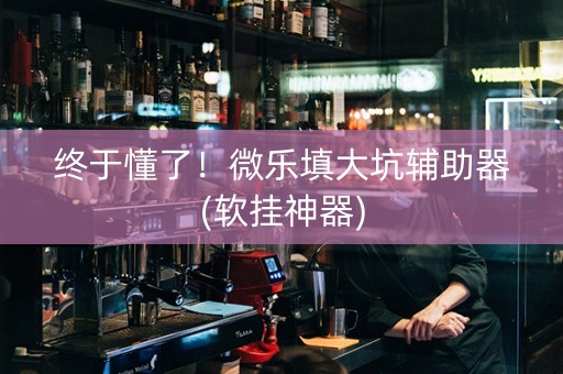 终于懂了！微乐填大坑辅助器(软挂神器)