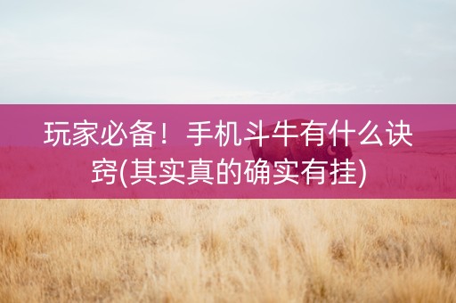 玩家必备！手机斗牛有什么诀窍(其实真的确实有挂)