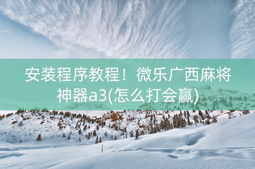 安装程序教程！微乐广西麻将神器a3(怎么打会赢)