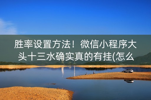 胜率设置方法！微信小程序大头十三水确实真的有挂(怎么玩赢几率大)