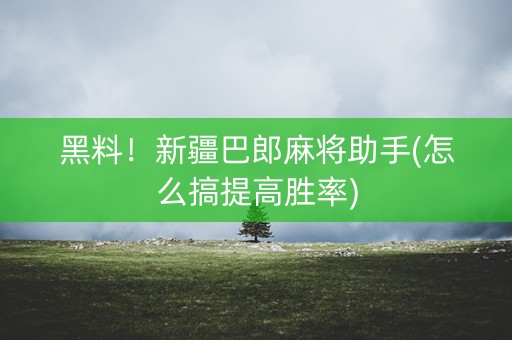 黑料！新疆巴郎麻将助手(怎么搞提高胜率)
