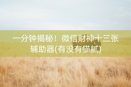 一分钟揭秘！微信财神十三张辅助器(有没有猫腻)