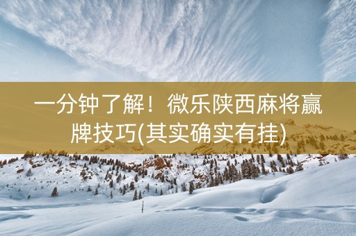 一分钟了解！微乐陕西麻将赢牌技巧(其实确实有挂)