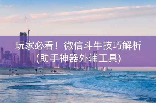 玩家必看！微信斗牛技巧解析(助手神器外辅工具)