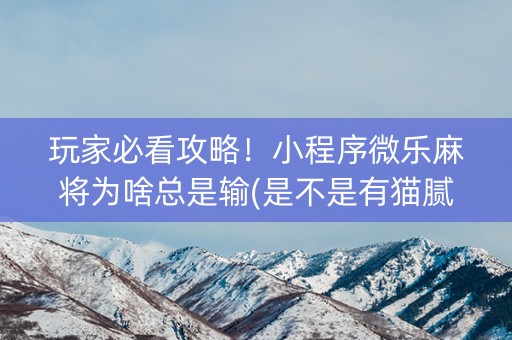 玩家必看攻略！小程序微乐麻将为啥总是输(是不是有猫腻)