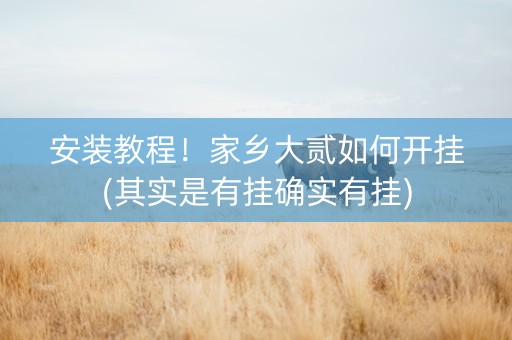 安装教程！家乡大贰如何开挂(其实是有挂确实有挂)