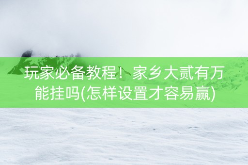 玩家必备教程！家乡大贰有万能挂吗(怎样设置才容易赢)