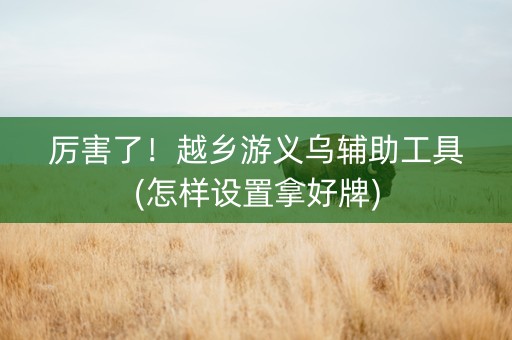 厉害了！越乡游义乌辅助工具(怎样设置拿好牌)