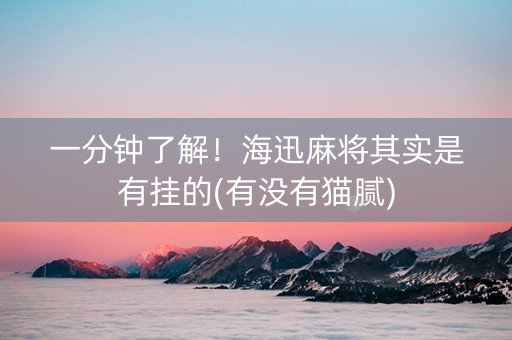 一分钟了解！海迅麻将其实是有挂的(有没有猫腻)