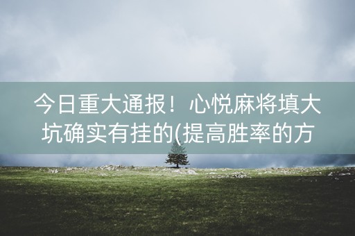 今日重大通报！心悦麻将填大坑确实有挂的(提高胜率的方法)
