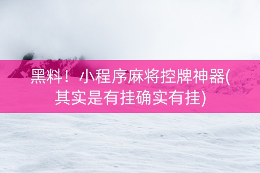 黑料！小程序麻将控牌神器(其实是有挂确实有挂)