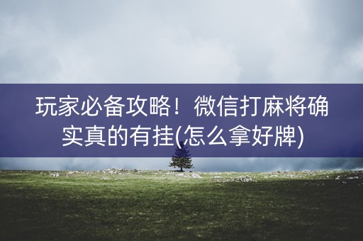 玩家必备攻略！微信打麻将确实真的有挂(怎么拿好牌)