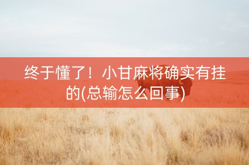 终于懂了！小甘麻将确实有挂的(总输怎么回事)