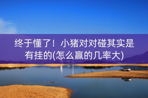 终于懂了！小猪对对碰其实是有挂的(怎么赢的几率大)
