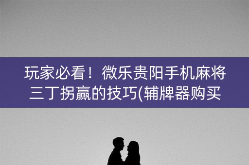 玩家必看！微乐贵阳手机麻将三丁拐赢的技巧(辅牌器购买)