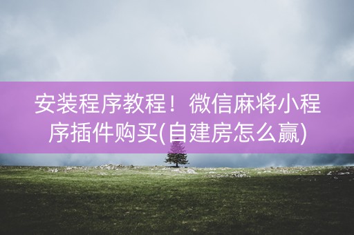 安装程序教程！微信麻将小程序插件购买(自建房怎么赢)