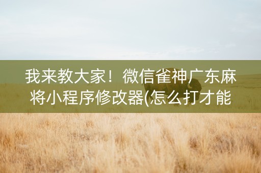 我来教大家！微信雀神广东麻将小程序修改器(怎么打才能赢)