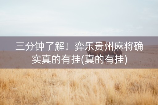 三分钟了解！弈乐贵州麻将确实真的有挂(真的有挂)
