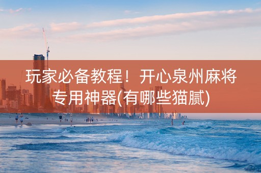 玩家必备教程！开心泉州麻将专用神器(有哪些猫腻)
