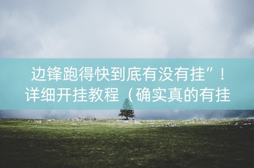 边锋跑得快到底有没有挂”！详细开挂教程（确实真的有挂)-抖音