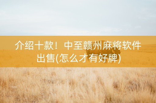 介绍十款！中至赣州麻将软件出售(怎么才有好牌)