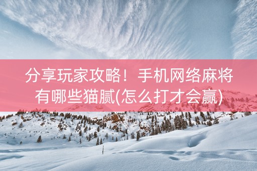 分享玩家攻略！手机网络麻将有哪些猫腻(怎么打才会赢)