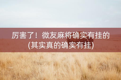 厉害了！微友麻将确实有挂的(其实真的确实有挂)