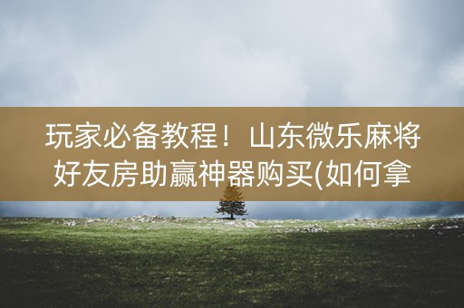 玩家必备教程！山东微乐麻将好友房助赢神器购买(如何拿好牌)