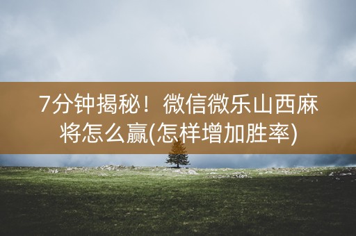7分钟揭秘！微信微乐山西麻将怎么赢(怎样增加胜率)