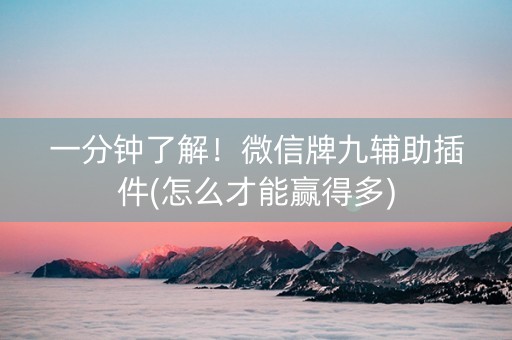 一分钟了解！微信牌九辅助插件(怎么才能赢得多)