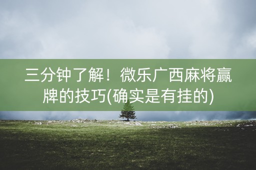 三分钟了解！微乐广西麻将赢牌的技巧(确实是有挂的)