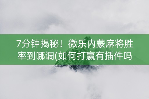 7分钟揭秘！微乐内蒙麻将胜率到哪调(如何打赢有插件吗)