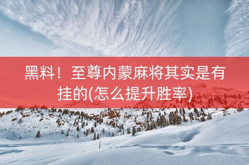 黑料！至尊内蒙麻将其实是有挂的(怎么提升胜率)