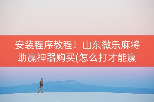 安装程序教程！山东微乐麻将助赢神器购买(怎么打才能赢)