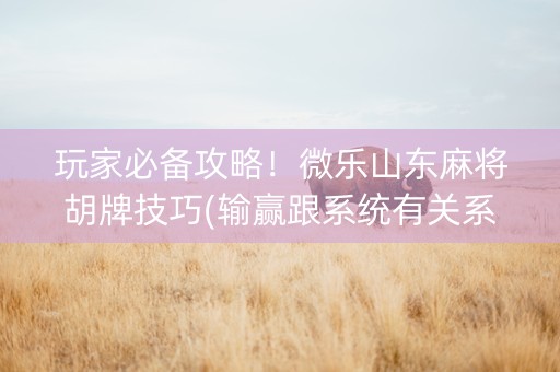 玩家必备攻略！微乐山东麻将胡牌技巧(输赢跟系统有关系吗)